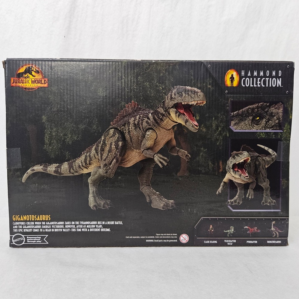 Jurassic World Hammond Collection Giganotosaurus Action Figure HXF57 Open Box - Picture 3 of 7